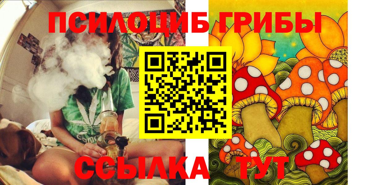Псилоцибиновые грибы Psilocybe Знаменск
